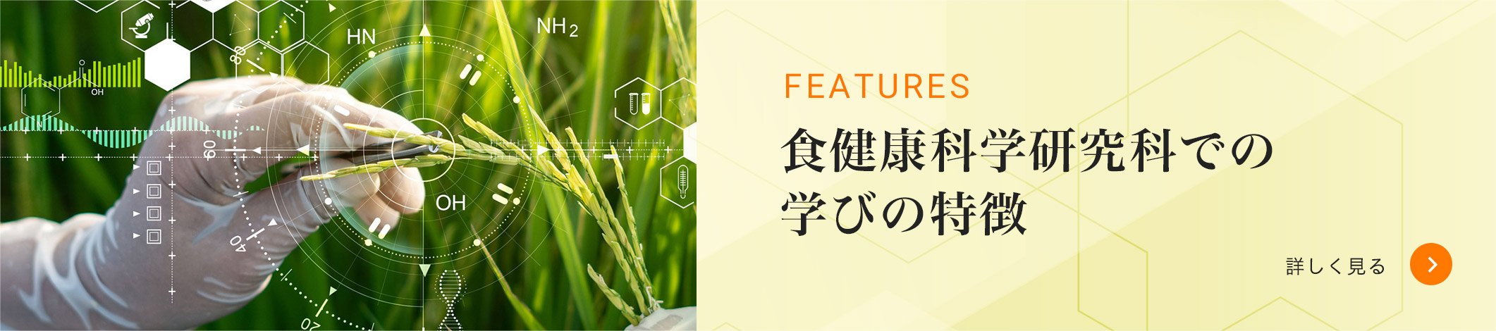 食健康科学研究科での学びの特徴