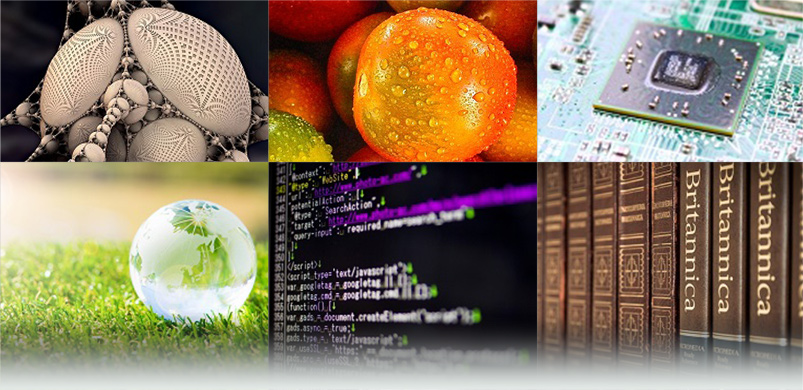 教員・研究紹介